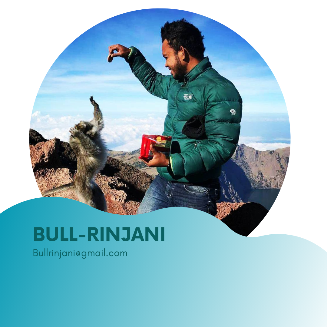 Bullrinjani