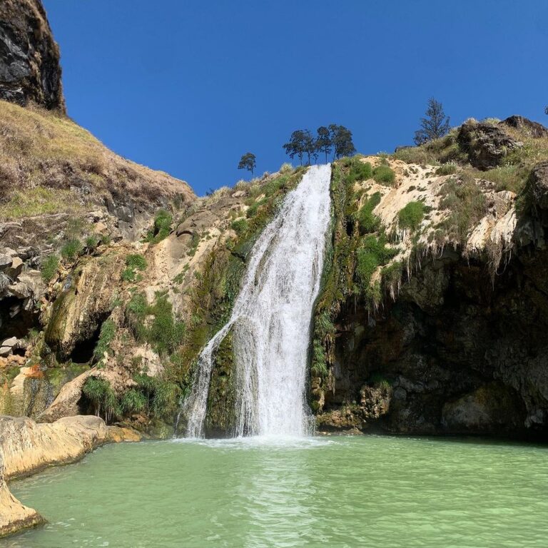 Bullrinjani