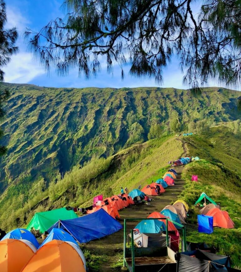 Bullrinjani